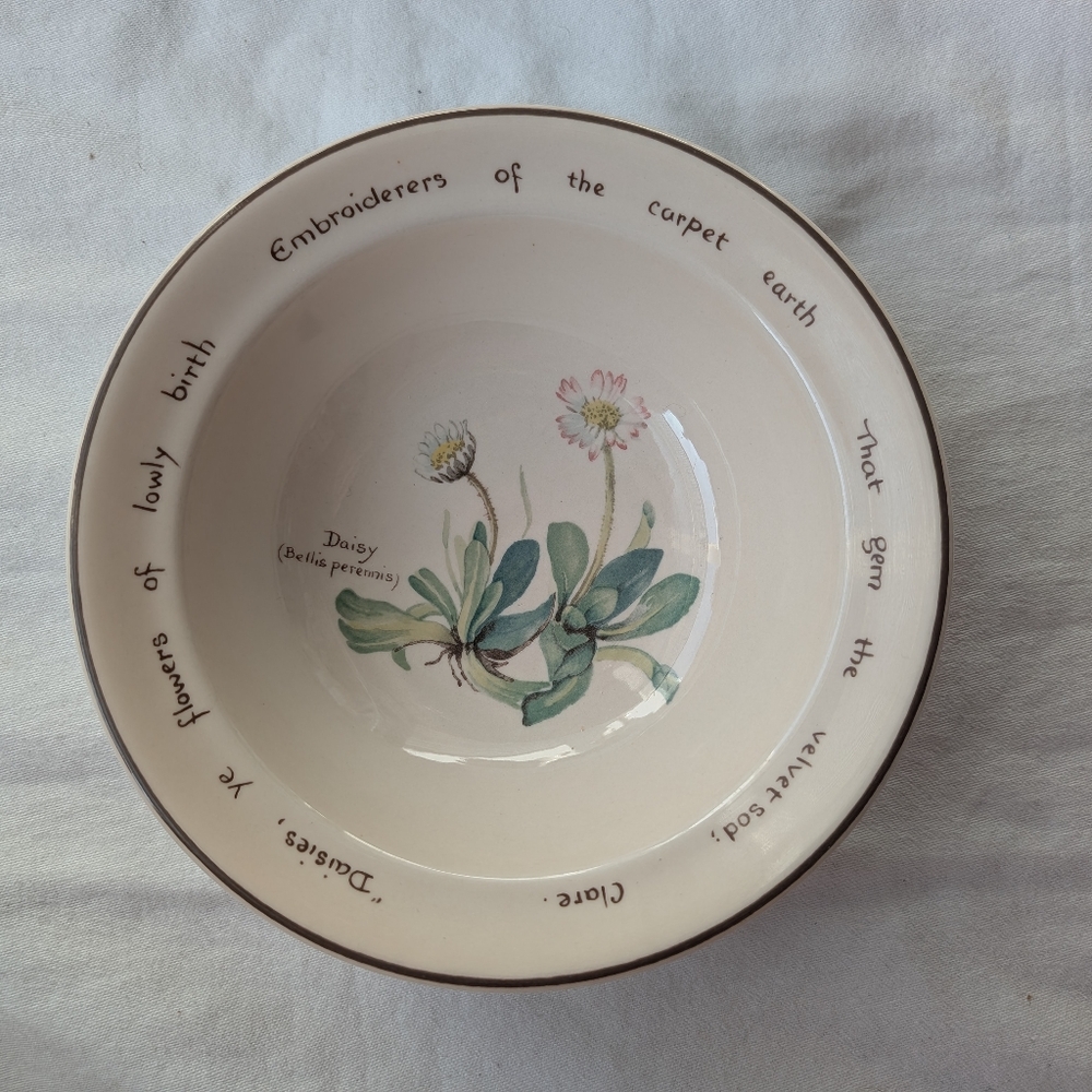 Set Of 3 Country Diary Edwardian Lady Floral Rim Cereal Bowls Vintage